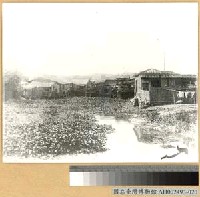 藏品(河溝頭)的圖片